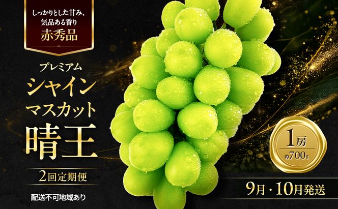 ぶどう 2026年 先行予約 定期便 赤秀ぶどう プレミアム シャインマスカット 晴王 1房 700g 9月・10月 2回発送 船穂産 赤秀品 皮ごと食べる みずみずしい 岡山県産 満天フルーツ