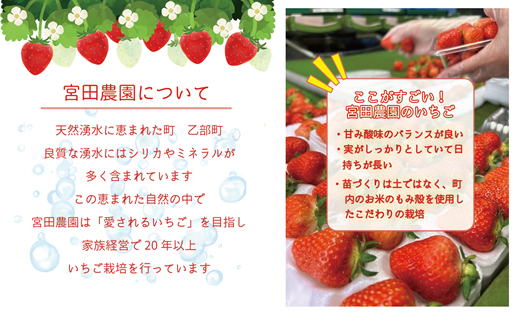 【予約受付中！5月上旬頃発送予定！】＜けんたろういちご 12粒＞湧水で育った北海道の高級いちご 北海道 北海道産 道産 いちご 苺 イチゴ けんたろう 贈物 贈り物 プレゼント