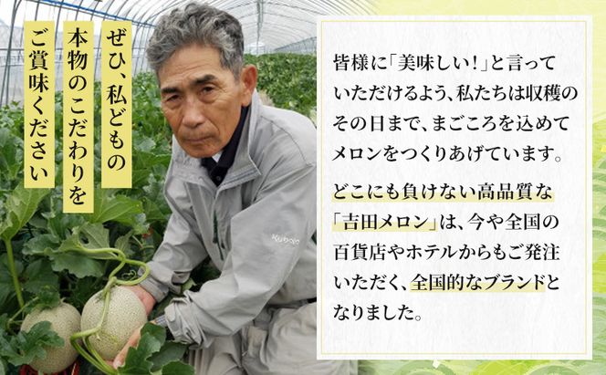 【2026年8月下旬より発送】北海道 富良野 メロン 赤肉 2玉 計約3.6kg メロン フルーツ 果物 新鮮 甘い 贈り物 ギフト 道産 ジューシー おやつ ふらの ブランド 夏  (吉田農園)