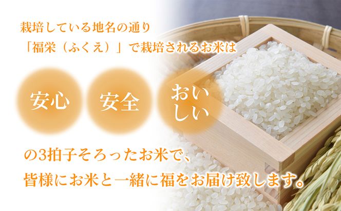 令和8年産香川県産コシヒカリ6kg（玄米）※３Kg×2袋