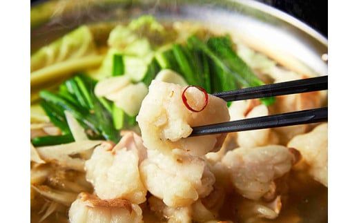 【定期便】定期便　ホルモン屋が作った本気のもつ鍋セット塩味　全3回【FO56W】（滋賀県　近江八幡市）