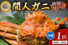 間人漁港仲買人の丸友鮮魚三代目・自慢の間人ガニ≪茹で≫[1匹 800～900g]　MG00008