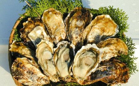 糸島産 ひろちゃんカキ の アヒージョ 5食 セット 糸島市 / ひろちゃんカキ 牡蠣 牡蛎 かき [AJA016] カキ かき 牡蠣 アヒージョ 福岡 糸島 おつまみ 海産物 海の幸 貝 魚介類