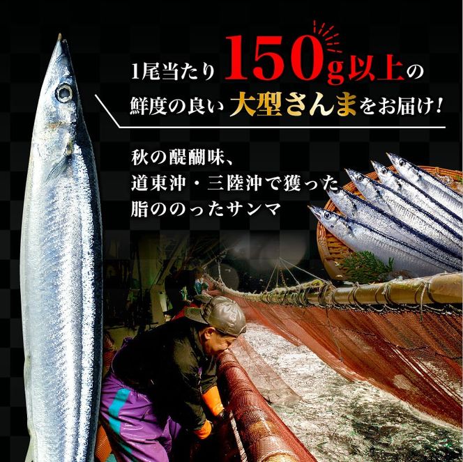 【近日解禁】特大さんま 150g以上 5尾 冷蔵 期間限定 鮮秋刀魚 [発送:2024年9月～2024年10月下旬] 三陸 岩手 大船渡市 サンマ [kama029]