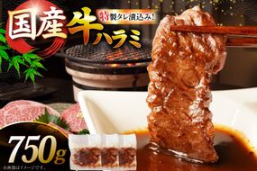 牛肉 焼肉 国産 特製たれ漬 牛ハラミ サガリ 750g [宇美ホルモン 福岡県 宇美町 um40azp100004] ハラミ はらみ 牛はらみ 小分け 個包装 牛 肉 焼き肉 ホルモン タレ漬け たれ漬け
