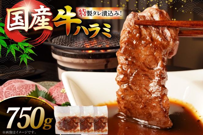 牛肉 焼肉 国産 特製たれ漬 牛ハラミ サガリ 750g [宇美ホルモン 福岡県 宇美町 um40azp100004] ハラミ はらみ 牛はらみ 小分け 個包装 牛 肉 焼き肉 ホルモン タレ漬け たれ漬け
