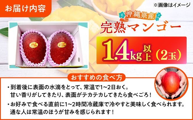 【最優秀賞受賞】沖縄県産 完熟マンゴー 大玉 2個入り マンゴー 沖縄 果物 フルーツ ギフト 沖縄市 / MAIFARM[BCAN006]