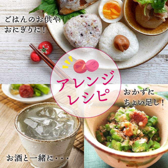 【贈答用】紀州南高梅　優梅　400g　化粧箱入 | ギフト プレゼント 国産 ※北海道・沖縄・離島への配送不可