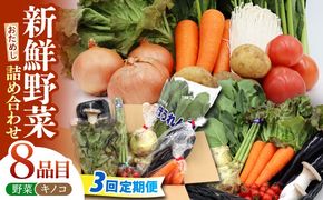 【3回定期便】お試し野菜セット 8品目 詰め合わせ / 野菜 やさい ヤサイ 旬 新鮮 / 南島原市 / 吉岡青果[SCZ028]