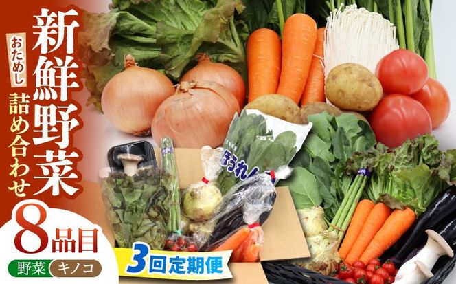 【3回定期便】お試し野菜セット 8品目 詰め合わせ / 野菜 やさい ヤサイ 旬 新鮮 / 南島原市 / 吉岡青果[SCZ028]