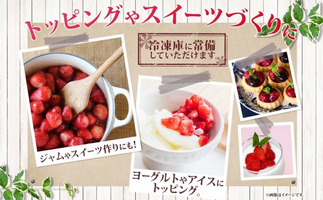 役に立ちます 冷凍カット果物 いちご100g×6袋 果物類 苺 イチゴ 冷凍 カット 果物 小分け 時短 弁当 簡単 調理 便利  国産 北海道 洞爺湖町