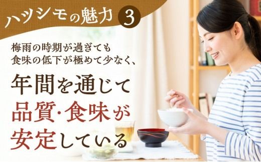 【先行予約】【定期便】新米 米 10kg ハツシモ【3カ月連続】令和8年産 岐阜県産 | 米 お米 白米 新米 精米 ハツシモ  ごはん ご飯 白飯 米 こめ コメ ライス 初霜 はつしも おにぎり お弁当 寿司 炊き込みご飯 ブランド米 幻の米 国産 岐阜 瑞穂市 ※2026年12月～発送