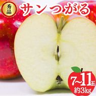 【2026年8月～発送】サンつがる 秀品 約3kg 7～11玉 りんご 果物 信州 長野