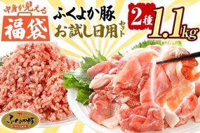 福袋 豚肉 切り落とし ミンチ 【C】ふくよか豚 お試し日用セット 小分け ブタ肉 ぶた肉 冷凍 福岡県 福岡 九州 グルメ お取り寄せ