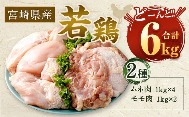 ＜【2025年6月発送】宮崎県産若鶏6kgセット＞【c430_hn_x3-jun】