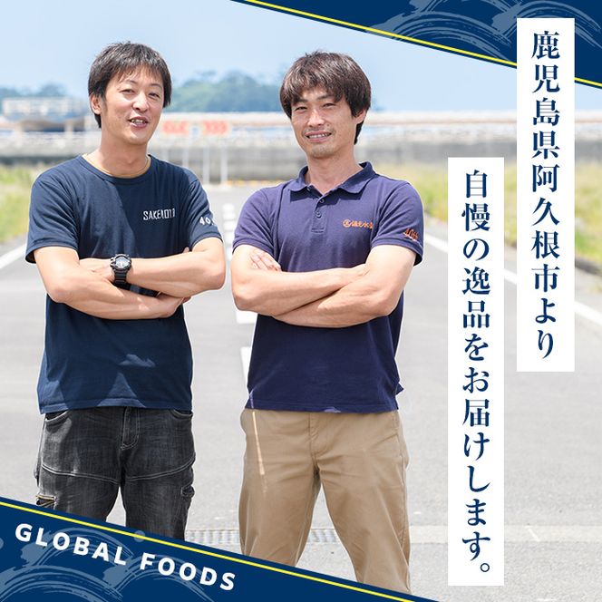 訳あり 真あじ開き(計10kg) 大容量 アジ 鯵 魚介類 干物 おかず グリル 焼き魚 開き 加工品 チャック付き袋 ジップロック 小分け 【グローバルフーズ】akn061-60