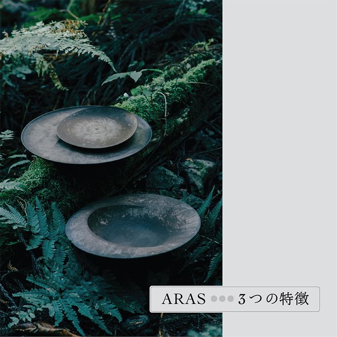 ARASのお買いものカード30,000円分 ARAS エイラス 割れない うつわ 贈り物 ギフト カタログギフト 10万円 100000円 F6P-3158
