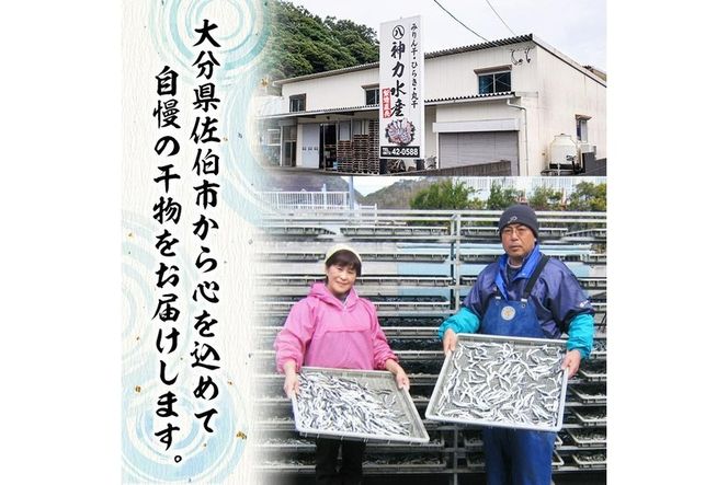 厳選ひもの セット (7種) 簡単 調理 干物 あじ 真あじ あじみりん かます さば 真さば ちりめん ちりめんじゃこ イカ タイ みりん干し 丸干し 一夜干し 開き 魚 海鮮 冷凍 詰め合わせ【DF03】【(株)神力水産】