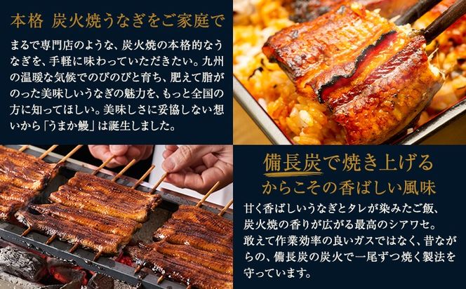 【12ヶ月定期便】うなぎ 国産 鰻 特上 うまか鰻炭火焼 《お申込み翌月から発送(土日祝除く)》2尾 合計360g以上 九州産 たれ さんしょう 付 ウナギ unagi 蒲焼 うなぎの蒲焼 特大 訳あり 定期便 蒲焼き ふるさとのうぜい 簡易包装 不揃い 規格外---mf_fsktei_24_146500_mo12num1_2p---