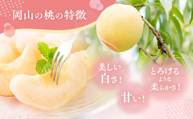 桃 2026年 先行予約 おかやま 夢 白桃 約1.8kg 5～7玉 進物用 もも モモ フルーツ 果物 岡山 赤磐市産 農マル園芸 あかいわ農園 家庭用 