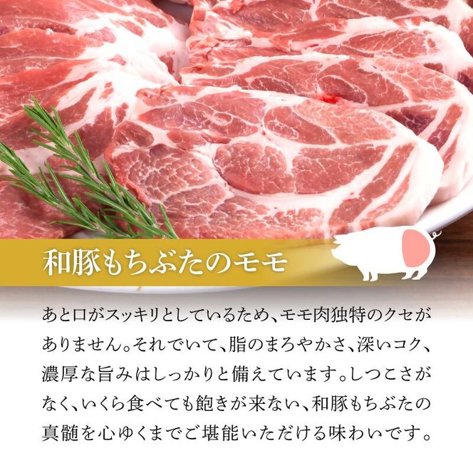 和豚 もちぶた モモ 味噌漬け 塩糀漬け 120g × 各3枚 もち豚 豚肉 ポーク お肉 肉 豚 ぶた ブタ ロース もも肉 精肉 加工肉 アウトドア