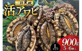 海鮮 魚介 三陸 天然 活 アワビ Lサイズ 900g(5～6個入) [マルヤ五洋水産 宮城県 南三陸町 30al0009] 魚介類 あわび 鮑 天然 蝦夷あわび 貝 冷蔵 刺身 刺し身 活き ステーキ