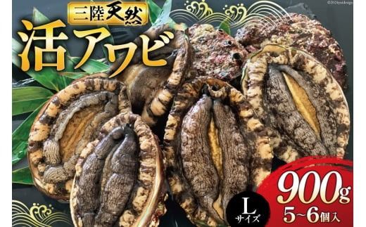 海鮮 魚介 三陸 天然 活 アワビ Lサイズ 900g(5～6個入) [マルヤ五洋水産 宮城県 南三陸町 30al0009] 魚介類 あわび 鮑 天然 蝦夷あわび 貝 冷蔵 刺身 刺し身 活き ステーキ