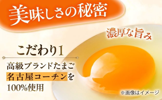 ＼大人気／ とろ〜り 名古屋コーチンプリン 6個入り スイーツ プリン 洋菓子 愛西市 / スイーツカフェハル[AEDP004]