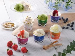 1080.2025 【定期便】大山乳業の３回お届けセット 313726_AH022