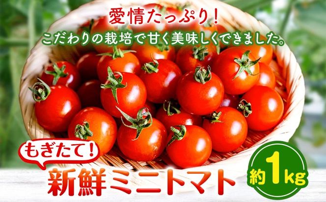 yR|z~jg}g 1kg o_ s1{-5oׁt R |  ~jg}g  VN---osy_iktmt_af15_24_8500_1---