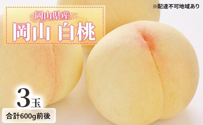 桃 【2026年 先行予約】 白桃 3玉入り 合計600g前後 もも 岡山県産 国産 フルーツ 果物 ギフト
