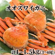 17-203 北海道産　ボイルオオズワイガニ姿　計1～1.5ｋｇ内外(3～4尾)