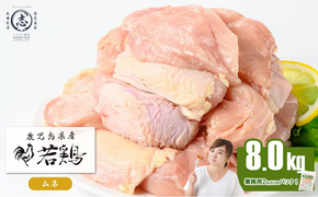 鹿児島県産若鶏ムネ肉 計8kg(2kg×4P) a9-056