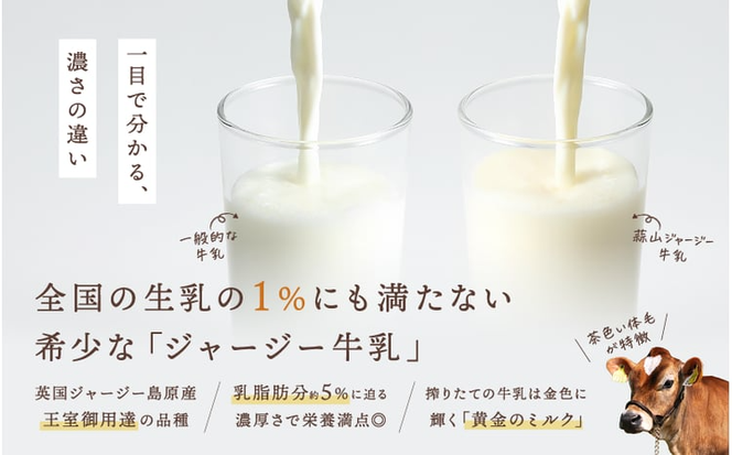 【定期便 月2回×12カ月】 全24回 ヨーグルト 蒜山ジャージー贅沢ヨーグルト(90g)×10個 ご当地ヨーグルトグランプリ金賞 岡山 蒜山 真庭 プレゼント 贈答 セット デザート ギフト 牛乳 冷蔵 【hiru-tkb008】