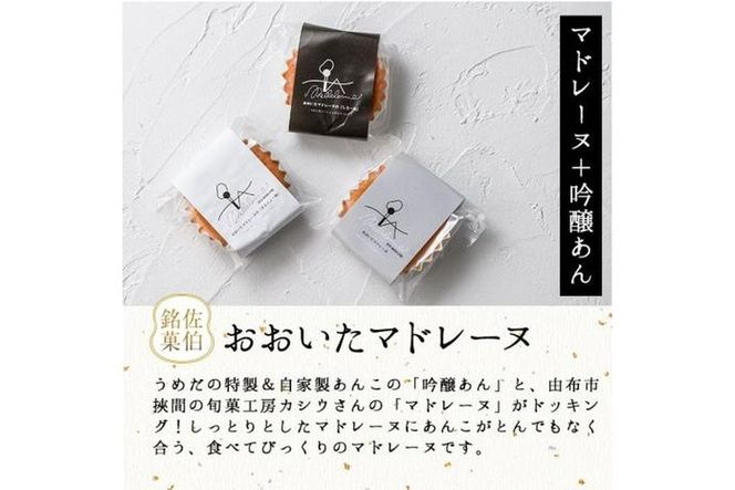 おおいたマドレーヌ (合計15個・3種) マドレーヌ 餡 スイーツ お菓子 おやつ 焼き菓子 洋菓子 詰め合わせ お取り寄せ 個装 常温 大分県 佐伯市【AG121】【 (株)お菓子のウメダ】