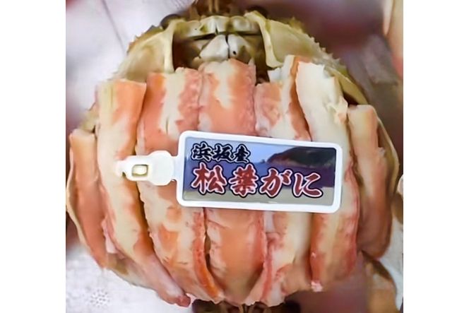 松葉ガニ 甲羅盛L 1個　SK00218