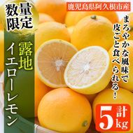 ＜先行予約受付中！2026年12月中旬以降順次発送予定＞数量限定！露地マイヤーイエローレモン(5kg) 国産 檸檬 イエローレモン オレンジ 果実 果物 フルーツ 柑橘【桐野柑橘株式会社】akn070-11