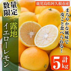 ＜先行予約受付中！2026年12月中旬以降順次発送予定＞数量限定！露地マイヤーイエローレモン(5kg) 国産 檸檬 イエローレモン オレンジ 果実 果物 フルーツ 柑橘【桐野柑橘株式会社】akn070-11