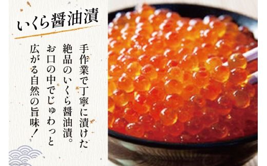 海鮮 詰め合わせ 豪華・海の恵みパック 5種×各2 [たみこの海パック 宮城県 南三陸町 30ae0027] 魚介類 アワビ 鮑 イクラ ウニ 雲丹 高級 希少 セット パック 冷凍