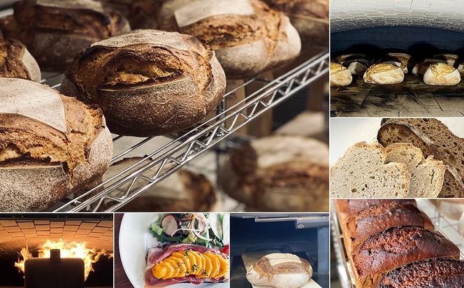 【薪窯焼き】香り高い大きなパン 3種セット (カンパーニュ・レザン・ブリオッシュ) ハード系パン レーズン パン セット K2686