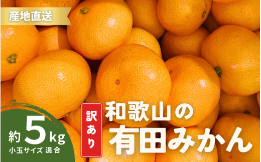 家庭用 有田みかん 和歌山 訳あり わけあり 小玉(2S,3Sサイズ混合) 5kg 【9月下旬～1月下旬頃に順次発送予定】/ みかん フルーツ 果物 くだもの 有田みかん 蜜柑 柑橘【ktn010B】