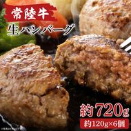 常陸牛生ハンバーグ　120g×6【牛肉100％ 和牛 真空パック 小分け 冷凍保存 ギフト お取り寄せ 無添加 北茨城市 茨城県】(AA216)