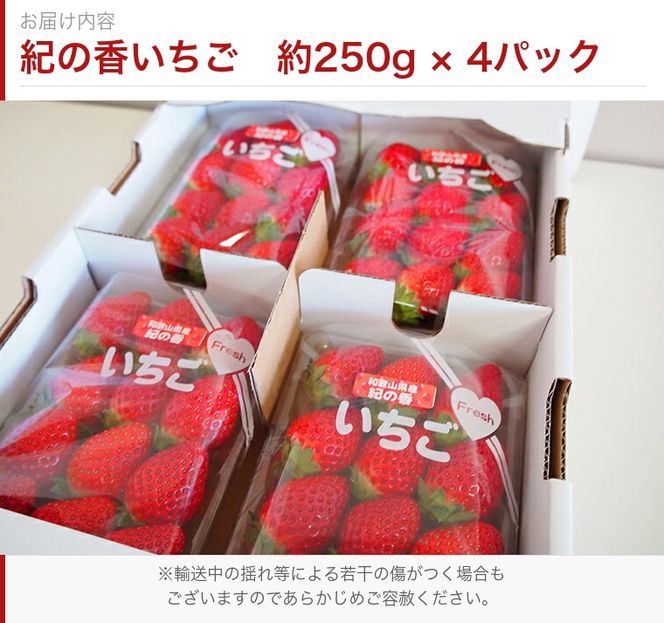 【先行予約】 紀州和歌山産 ブランド いちご 「紀の香」約250g×4パック（計約1kg）