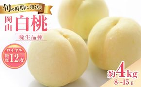 【2026年先行受付】 白桃 特秀 ロイヤル 大玉 晩生品種 約4kg(8～15玉) 岡山県産 桃 もも モモ 御中元 ギフト 御礼 プレゼント 御礼 御祝 御供 果物 くだもの フルーツ