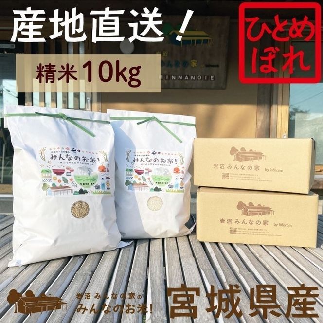 米 ひとめぼれ 精米 10kg ご飯 Aランク米