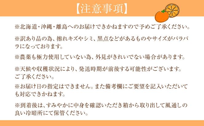 ［定期便］森本農園の手選別 かんきつ定期便 訳あり 約2kg サイズ混合 和歌山県産 ［北海道・沖縄・離島配送不可］［2027年1月～2027年5月まで全5回お届け］ ［RN174］ 303446_DJ90174