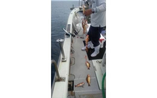 【乗船券】遊漁船・幸導丸で釣り体験！乗船チケット 相乗り/漁船チケット 港 船 魚/富山県射水市