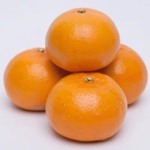 ＜2月より発送＞厳選 せとか7.5kg+250g（傷み補償分）｜柑橘・春みかんの王様【光センサー選果・食べ頃出荷】