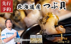 【先行予約】北海道鹿部町産 前浜ボイルつぶ１kg（500g×2袋） 刺身 不揃い つぶ ツブ ツブ貝 つぶ貝