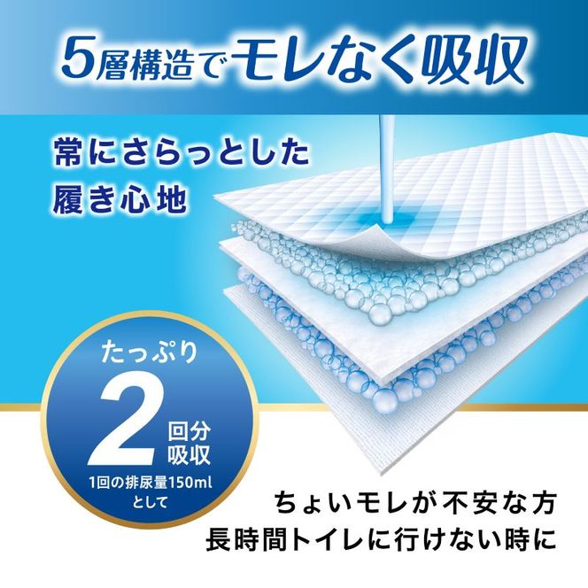 【22枚入り×4パック】大人用おむつリフィール 快適下着 超薄型パンツ Lサイズ 22枚入 NAD-L22-2 大人用おむつ 紙おむつ パンツタイプ 超薄型 スピード吸収 消臭 紙パンツ リハビリ 旅行 快適下着 アイリスオーヤマ